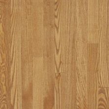 Bruce Dundee Plank 3 1/4 In – Dune CB1232