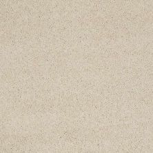 Caress By Shaw Floors Cashmere I Cheviot CCS0100104