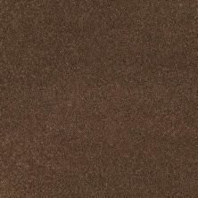 Caress By Shaw Floors Cashmere I Great Plains CCS0100705