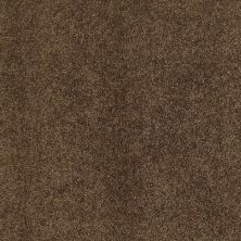 Caress By Shaw Floors Cashmere I Bison CCS0100707