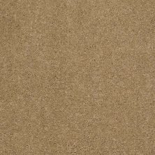 Caress By Shaw Floors Cashmere II Navajo CCS0200703