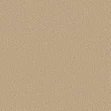 Caress By Shaw Floors Cashmere III Yearling CCS0300107