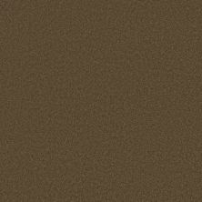 Caress By Shaw Floors Cashmere III Bison CCS0300707