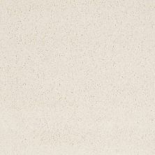 Caress By Shaw Floors Cashmere Iv Icelandic CCS0400100