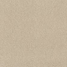 Caress By Shaw Floors Cashmere Iv Cheviot CCS0400104