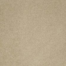 Caress By Shaw Floors Cashmere Iv Romney Marsh CCS0400300