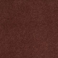 Caress By Shaw Floors Cashmere Iv Guanaco CCS0400603