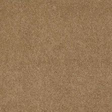 Caress By Shaw Floors Cashmere Iv Navajo CCS0400703