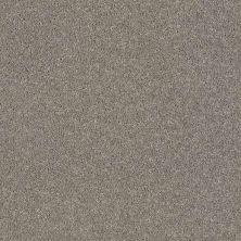 Caress By Shaw Floors Cashmere Classic I Birch Bark CCS6800522