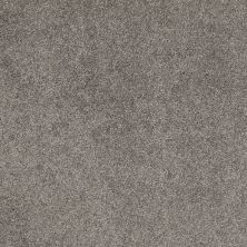 Caress By Shaw Floors Cashmere Classic I Chinchilla CCS6800526