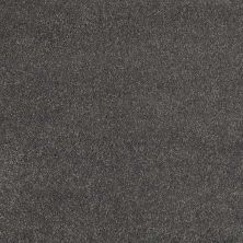 Caress By Shaw Floors Cashmere Classic I Armory CCS6800529