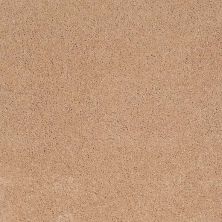 Caress By Shaw Floors Cashmere Classic I Maplewood North CCS6800600