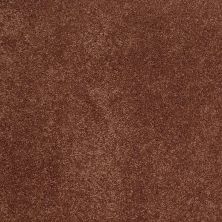 Caress By Shaw Floors Cashmere Classic I Riche Henna CCS6800620