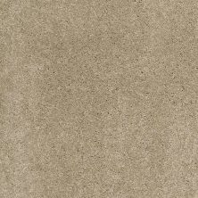 Caress By Shaw Floors Cashmere Classic I Pecan Bark CCS6800721