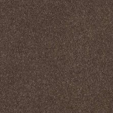 Caress By Shaw Floors Cashmere Classic I Spring – Wood CCS6800725