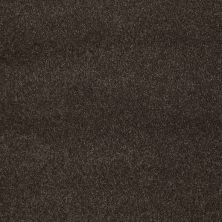 Caress By Shaw Floors Cashmere Classic I Chestnut CCS6800726