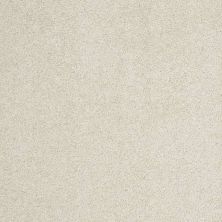 Caress By Shaw Floors Cashmere Classic II Cheviot CCS6900104