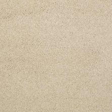 Caress By Shaw Floors Cashmere Classic II Yearling CCS6900107