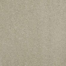 Caress By Shaw Floors Cashmere Classic II Spruce CCS6900321