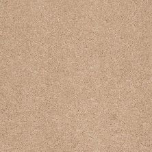 Caress By Shaw Floors Cashmere Classic II Maplewood North CCS6900600