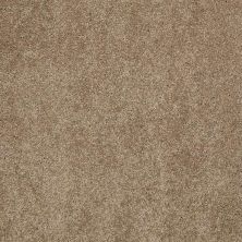 Caress By Shaw Floors Cashmere Classic II Pebble Path CCS6900722