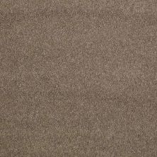 Caress By Shaw Floors Cashmere Classic II Mesquite CCS6900724