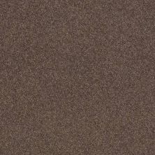 Caress By Shaw Floors Cashmere Classic II Spring – Wood CCS6900725