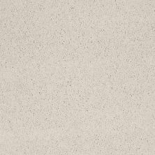 Caress By Shaw Floors Cashmere Classic III Suffolk CCS7000103