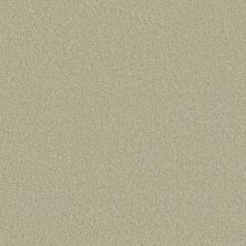 Caress By Shaw Floors Cashmere Classic III Celadon CCS7000322