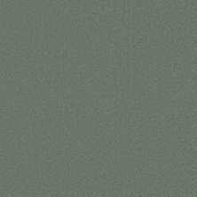 Caress By Shaw Floors Cashmere Classic III Jade CCS7000323