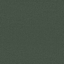 Caress By Shaw Floors Cashmere Classic III Emerald CCS7000324