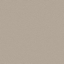 Caress By Shaw Floors Cashmere Classic III Sterling CCS7000511