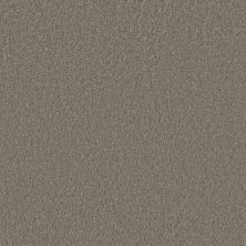 Caress By Shaw Floors Cashmere Classic III Barnboard CCS7000525