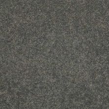 Caress By Shaw Floors Cashmere Classic III Onyx CCS7000528