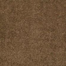 Caress By Shaw Floors Cashmere Classic III Tobacco Leaf CCS7000723