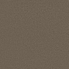 Caress By Shaw Floors Cashmere Classic III Spring – Wood CCS7000725