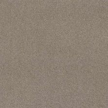 Caress By Shaw Floors Cashmere Classic Iv Birch Bark CCS7100522