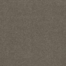 Caress By Shaw Floors Cashmere Classic Iv Chinchilla CCS7100526