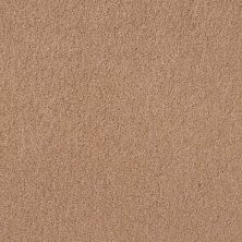 Caress By Shaw Floors Cashmere Classic Iv Maplewood North CCS7100600