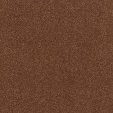 Caress By Shaw Floors Cashmere Classic Iv Riche Henna CCS7100620