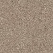 Caress By Shaw Floors Cashmere Classic Iv White Pine CCS7100720