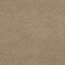 Caress By Shaw Floors Cashmere Classic Iv Pecan Bark CCS7100721