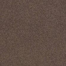 Caress By Shaw Floors Cashmere Classic Iv Spring – Wood CCS7100725
