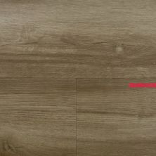 AUDACITY ELEGANCE 15.37SF BORDEAUX CFL50101791001