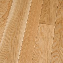 Chelsea Plank Chateau Series Golden Oak CP-GoldenOak