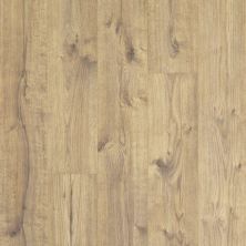 Carpetsplus Colortile Luxury Flooring Destination 2.0 Maple Sunbleached Oak LDB92-01