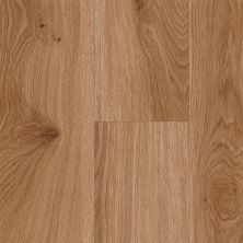 Perfect Home Ironwood Clay Pot CLV24-1104