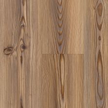 Perfect Home Ironwood Cider Spice CLV24-2106