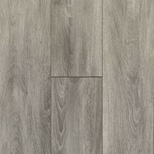 Bruce Nature Illustrated Coastal Cue BRSC82L24OVL