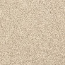 Masland Carpets & Rugs Cortana Cedar 5377-20201